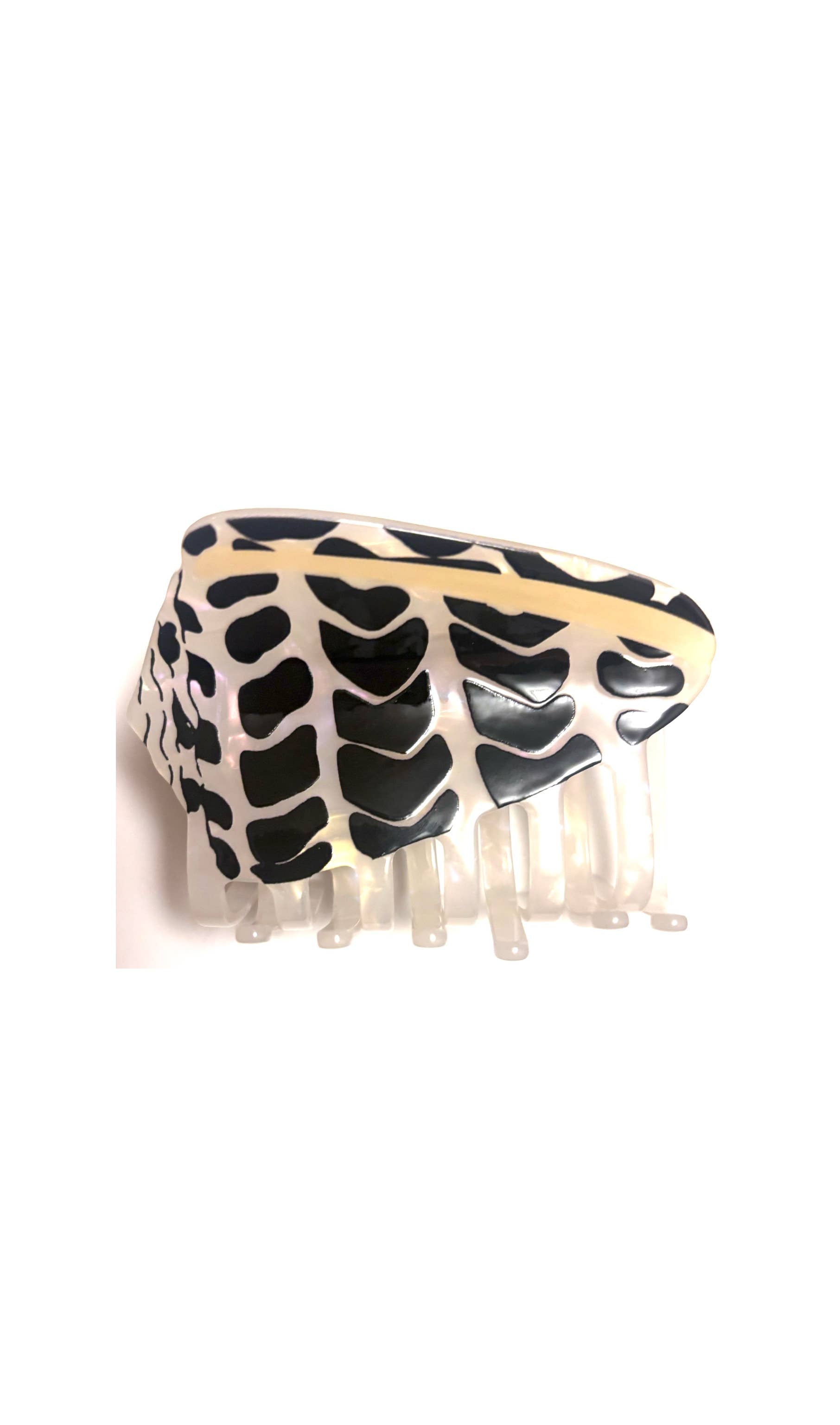 Hebrew Cone Shell Clip