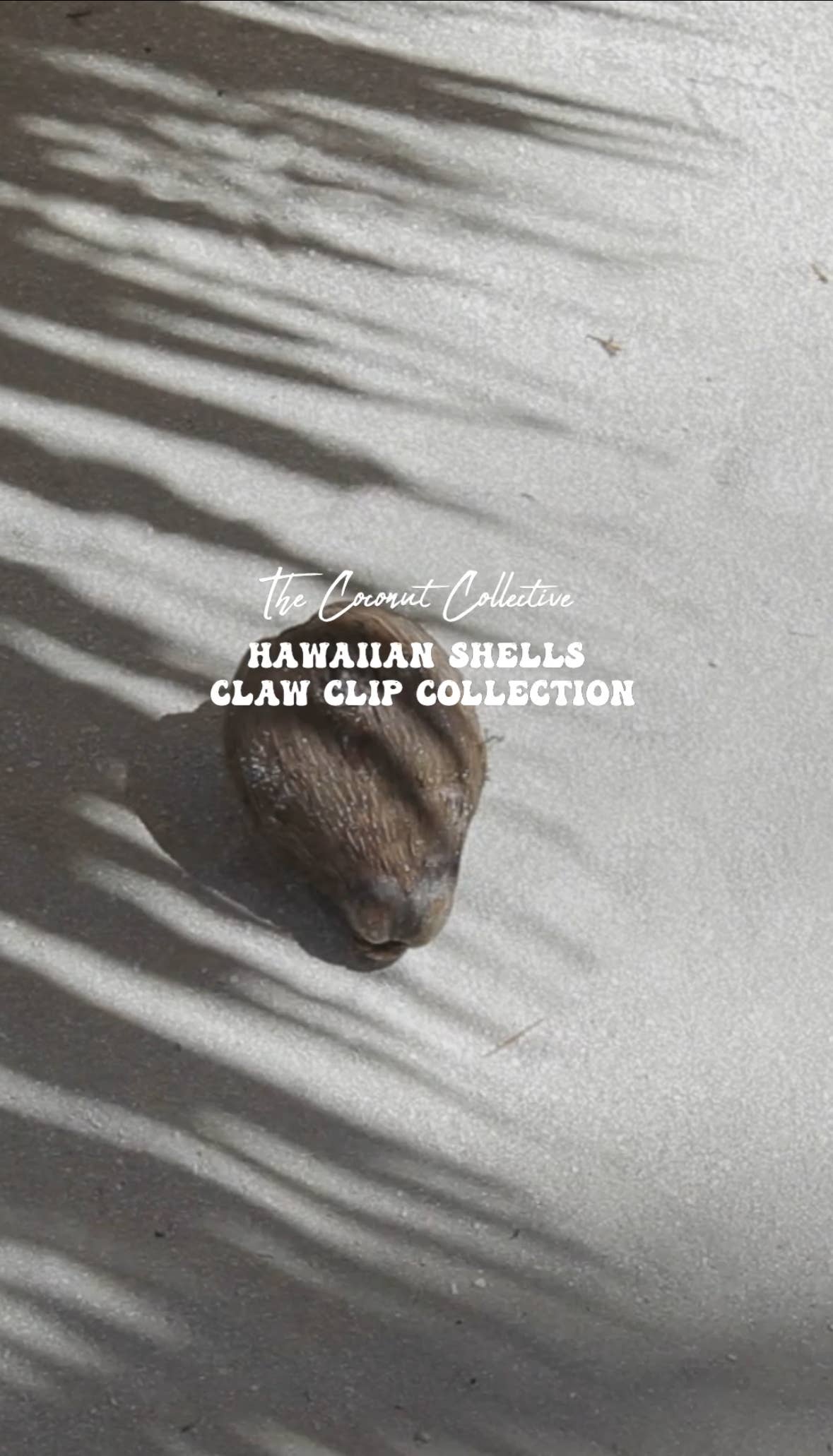 Hebrew Cone Shell Clip