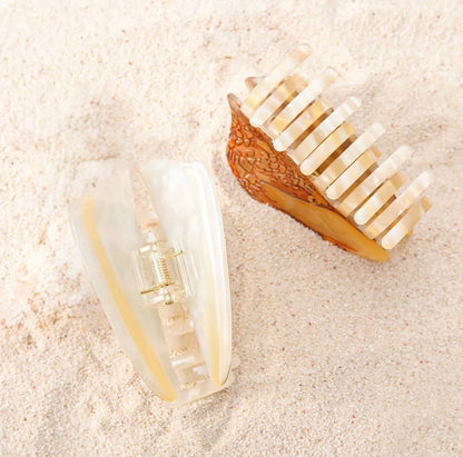 Hebrew Cone Shell Clip