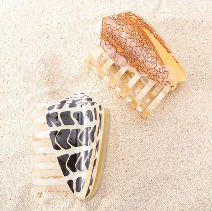 Hebrew Cone Shell Clip